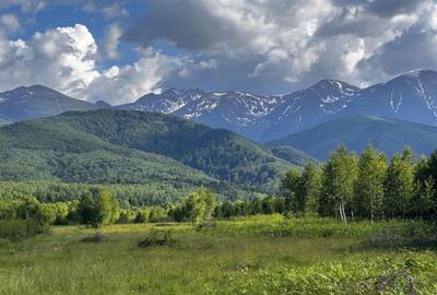 Teren  de vanzare -PUZ aprobat | 860 mp |  Valea Avrigului - 2