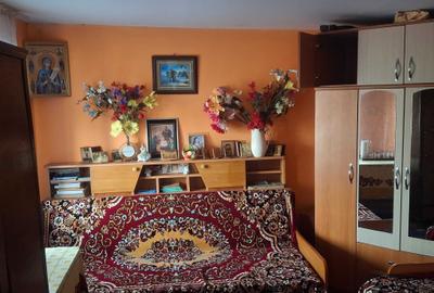 Casă cu 2 camere în Perieni - 1