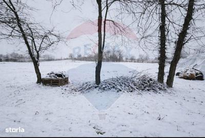 Spațiu comercial, în Coșoveni