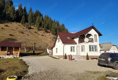 Vila+ teren de 2,2ha la 5 km de Vatra Dornei - 10