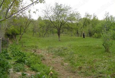 Teren de 2192 mp, în Cornu - 2
