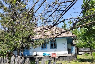 Casa si teren sat Epureni (Duda-Epureni), Vaslui - 2