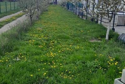 Teren de 300 mp, în Ciurila