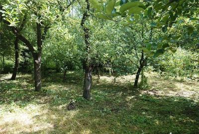 Casă cu 5 camere cu Teren 1730 Mp în Brad - 7