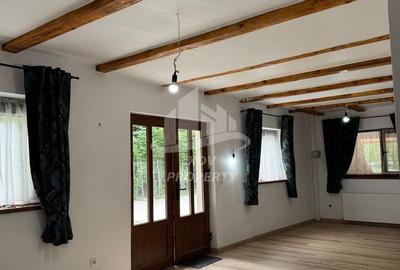 Pensiune/ Vila Valea Avrigului - 5