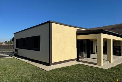 Casa singura in curte, Zizin , Tarlungeni , Brasov - 4