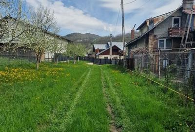Casă cu 3 camere cu Teren 2100 Mp în Ghioșești - 4