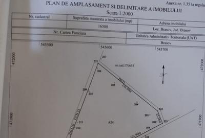 Teren de 16500 mp, în Central