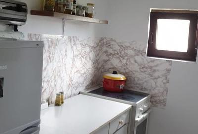 Casă cu 3 camere semidecomandat în Sărișor - 3