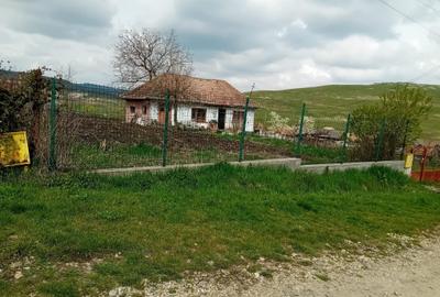 Casă individuală cu 2 camere cu Canalizare în Frata - 3