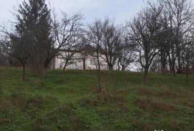 Teren de 5950 mp, în Scorțeni - 4