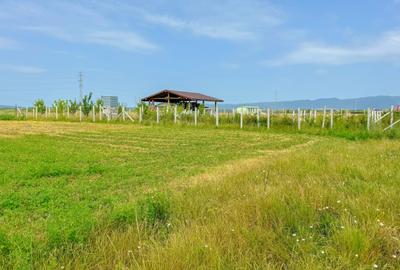 Teren Construcții intravilan de 5400 mp, în Hălchiu