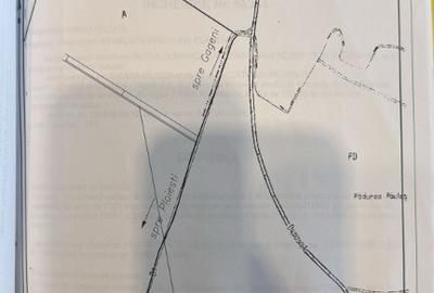 Teren 2.300 mp intravilan, cartier Magnolia Paulesti, 5 km de Ploiesti Teren 2.300 mp intravilan, cartier Magnolia Paulesti, 5 km de Ploiesti - 2