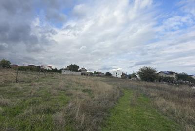 Teren de vanzare in Ovidiu - 3