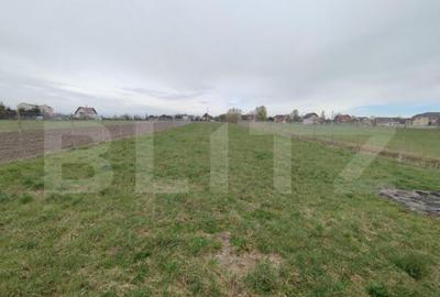 Casă cu 4 camere cu Teren 2500 Mp în Central - 5