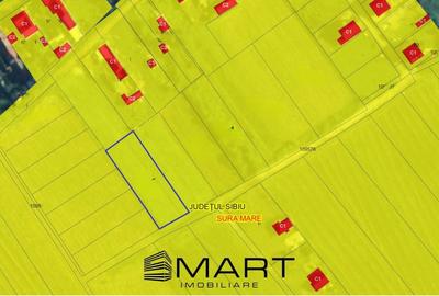 Teren extravilan 1000mp Sura Mare - 3