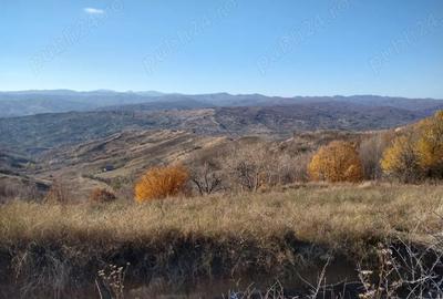 2 Casa padure + 4800 teren langa Focsani - 5