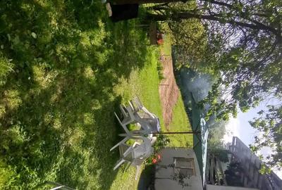 Casă cu Teren 11196 Mp în Central - 7