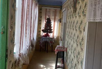 Casă cu 3 camere cu Teren 6400 Mp în Petriș - 7