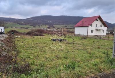 Teren Construcții intravilan de 5800 mp, în Șieu-Măgheruș - 3