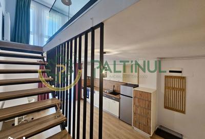 Apartament cu 2 camere în Turnișor - 12
