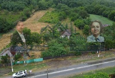 Teren intravilan cu utilita?i 3.000 mp / lot Sl... - 7