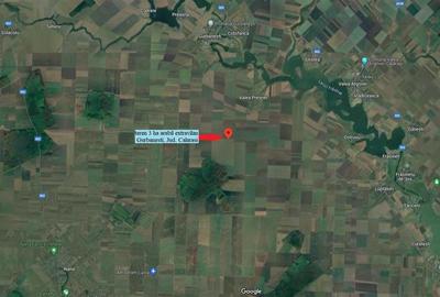 Teren agricol extravilan de 30000 mp, în Gurbănești - 6