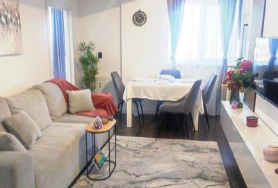 Apartament de inchiriat Prima Nufaru - 8