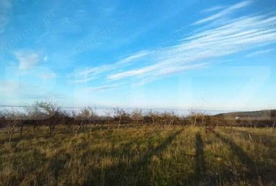 Teren PUZ finalizat, zona Wonderland, pt casa individuala sau duplex - 1