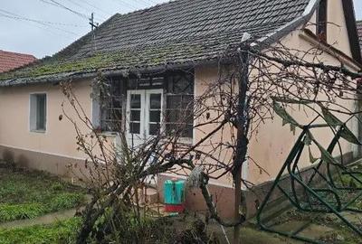 Casă cu 5 camere cu Teren 3040 Mp în Tămășeu - 16
