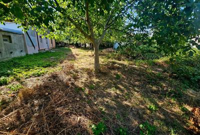Casă cu teren generos de 1.297 mp, zona Rudului – Ploiești - 34