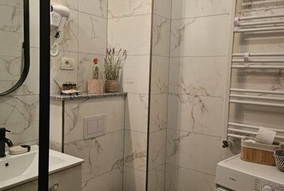 Studio 1 camera de inchiriat – Mamaia Nord Ștefan Building - 10