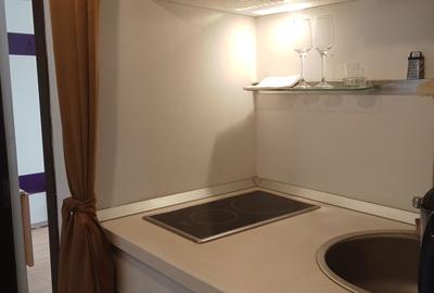 Garsonieră în City Park Mall - 4