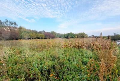 Teren de 4261 mp, în Iris