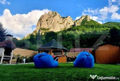 Casă cu 6 camere cu Teren 551 Mp în Teiu - 2