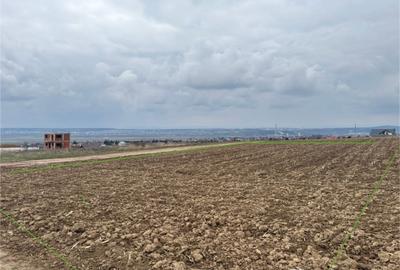 Spațiu comercial, în Central - 2