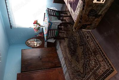 Casă cu 2 camere în Aluniș - 3