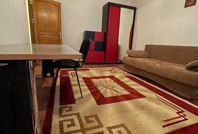 Apartament cu 1 camera, PET FRIENDLY, zona Independentei - 3