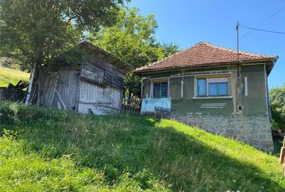 Casă cu 2 camere cu Teren 7927 Mp în Damiș - 1