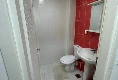 Garsonieră semidecomandată, mobilată în Theodor Pallady - 9