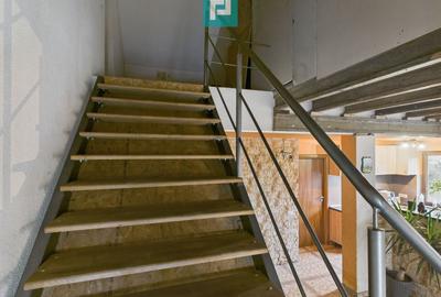 Casă individuală spațioasă, la 10 km de Timișoara - 41