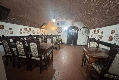 De inchiriat Spatii Ultracentrale in Satu Mare-ZONA 0! - 7