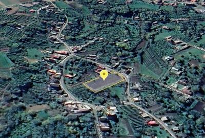 Teren de 3000 mp, în Lămășeni - 3