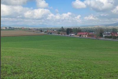 Teren extravilan Feldioara - 2