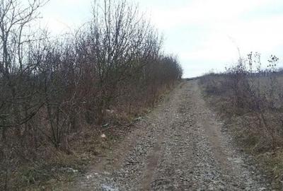 Teren de 5063 mp, în Lechința - 2