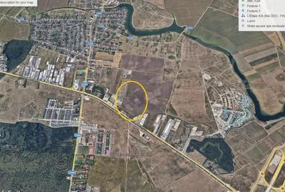 Teren de 10000 mp, în Tunari - 3