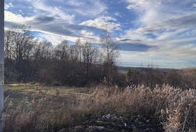 Teren autorizat Faget / Zona Vila Tusa / PUZ Aprobat - 3