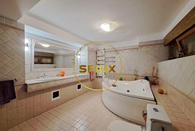 De inchiriat spatiu comercial Dorobanti - 7