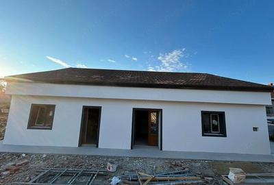 Casă cu 3 camere cu Teren 300 Mp în Iosefin