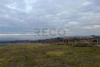 Teren de 720 mp, în Paleu - 4